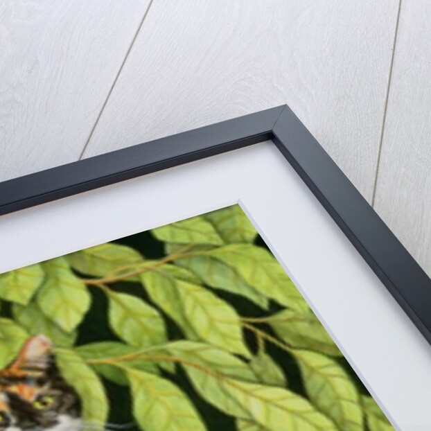 Leaves, 1994 by Ditz Ditz