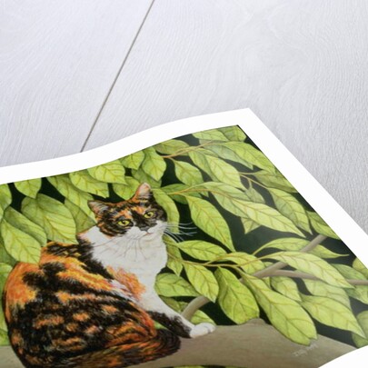 Leaves, 1994 by Ditz Ditz