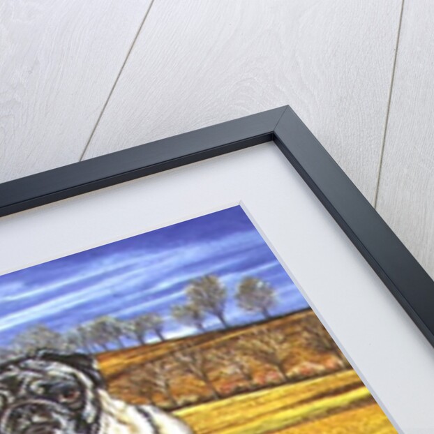 Hocking County Pug-Cats, 1995 by Ditz Ditz