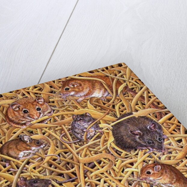 The Raiders of the Ark, 1995 by Ditz Ditz