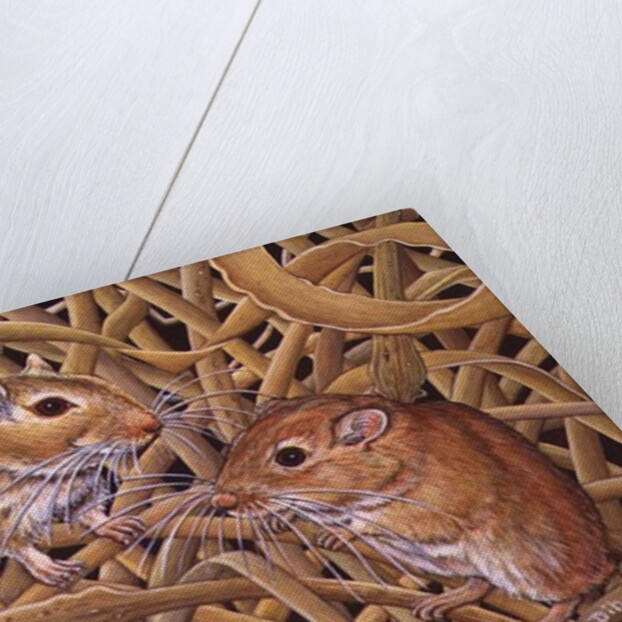 The Gerbils, 1994 by Ditz Ditz