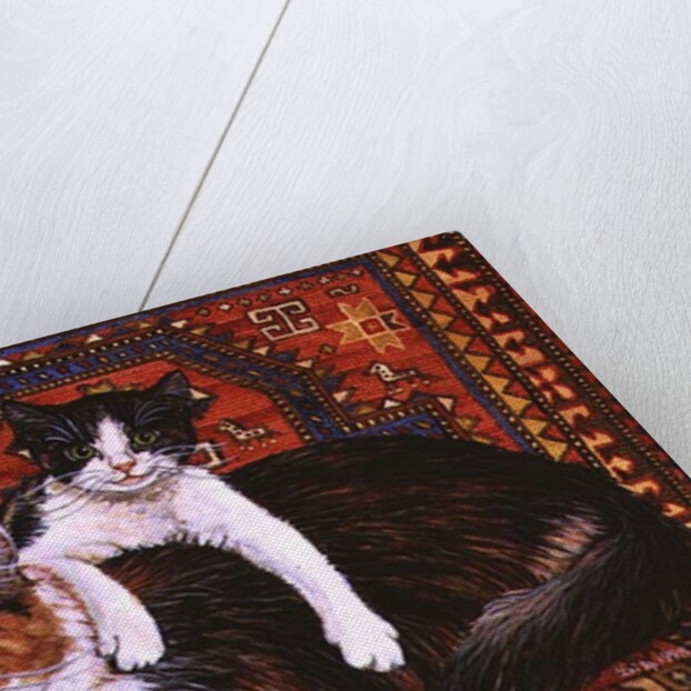 Kit-Cat-Carpet, 1995 by Ditz Ditz