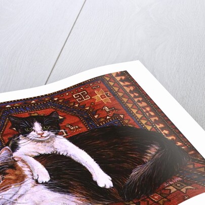 Kit-Cat-Carpet, 1995 by Ditz Ditz