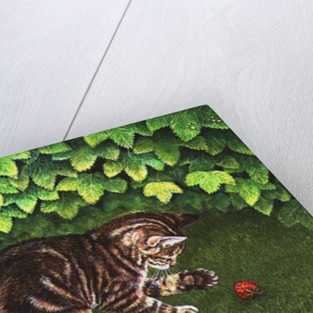 The Strawberry-Kitten, 1996 by Ditz Ditz