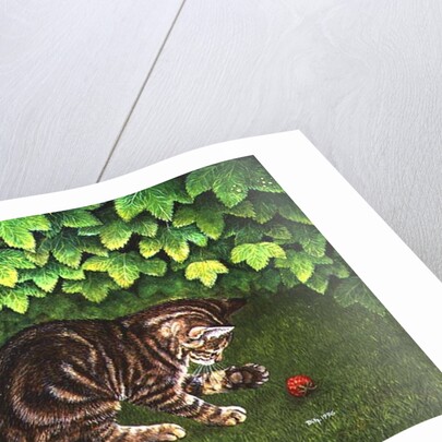 The Strawberry-Kitten, 1996 by Ditz Ditz