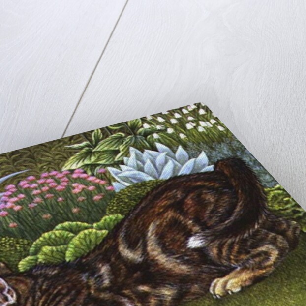 The Radish-Hunt, 1996 by Ditz Ditz