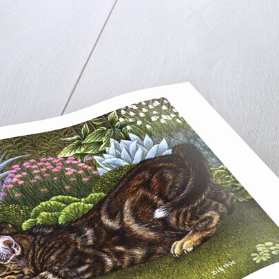 The Radish-Hunt, 1996 by Ditz Ditz