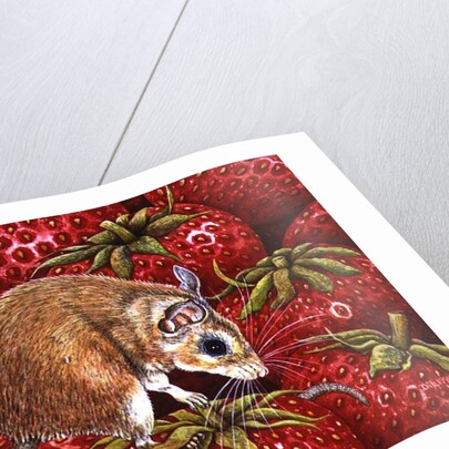 Strawberry-Mouse, 1995 by Ditz Ditz