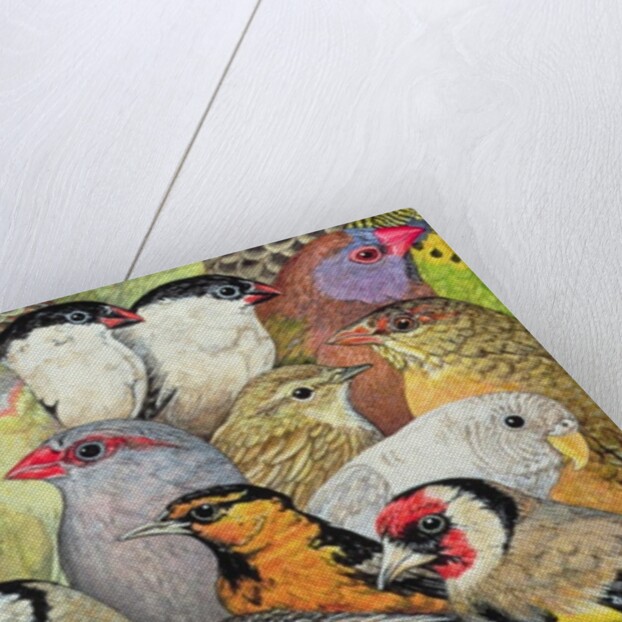 Patchwork-Birds, 1995 by Ditz Ditz