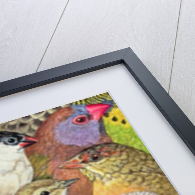 Patchwork-Birds, 1995 by Ditz Ditz