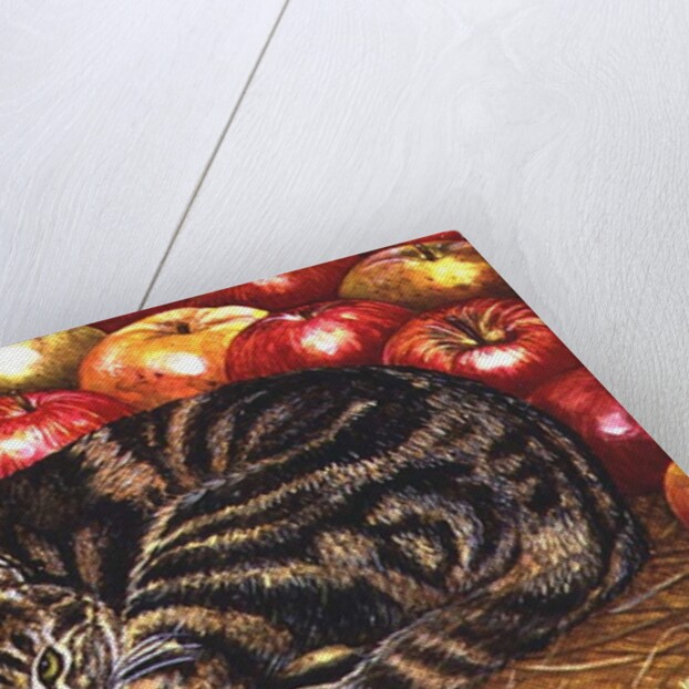 Right-Hand Apple-Cat, 1995 by Ditz Ditz