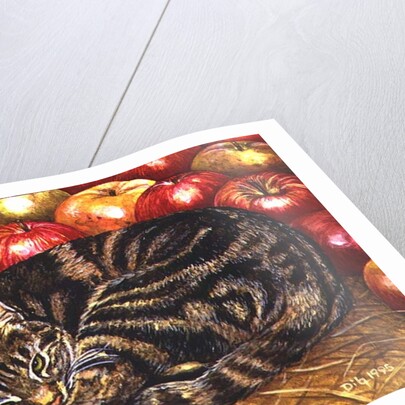 Right-Hand Apple-Cat, 1995 by Ditz Ditz