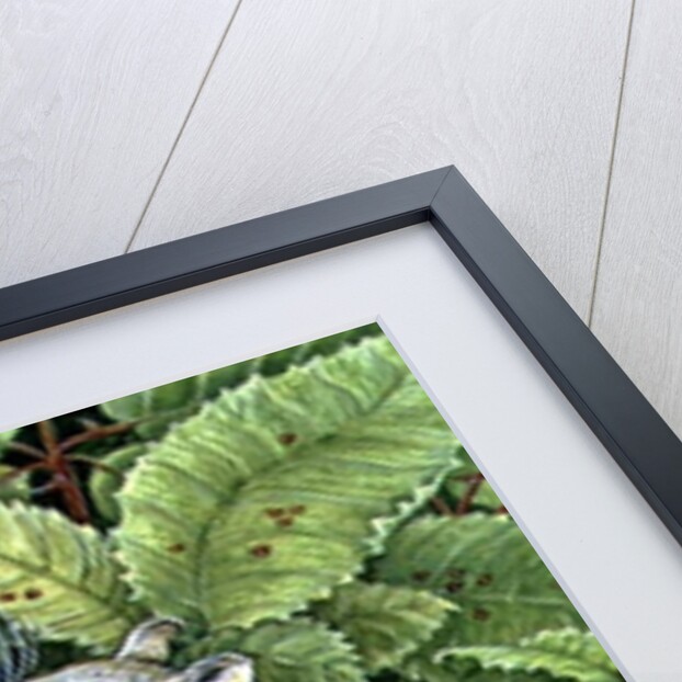 Blackberrying, 1996 by Ditz Ditz