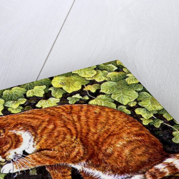 Wash-Day, 1996 by Ditz Ditz