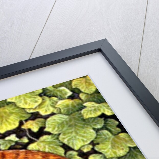 Wash-Day, 1996 by Ditz Ditz