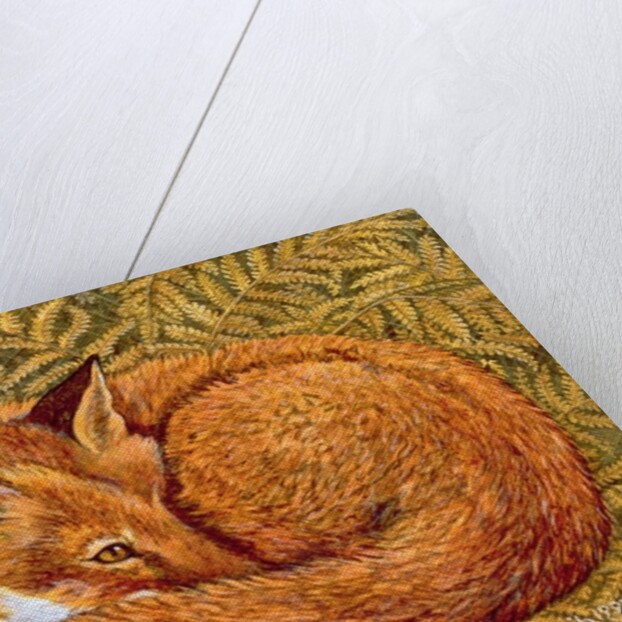 Cat-napping, 1997 by Ditz Ditz