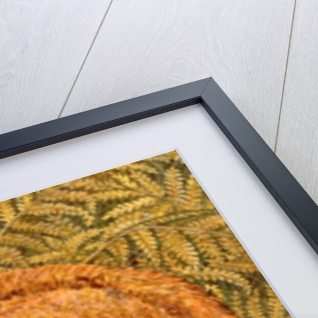 Cat-napping, 1997 by Ditz Ditz