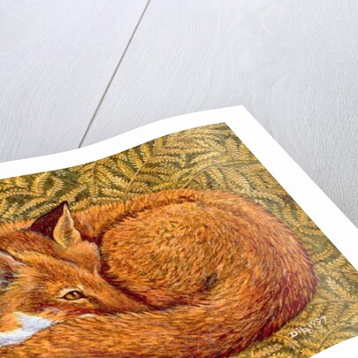 Cat-napping, 1997 by Ditz Ditz