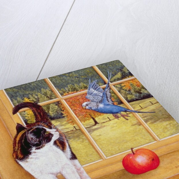 Bird-Watching, 1996 by Ditz Ditz