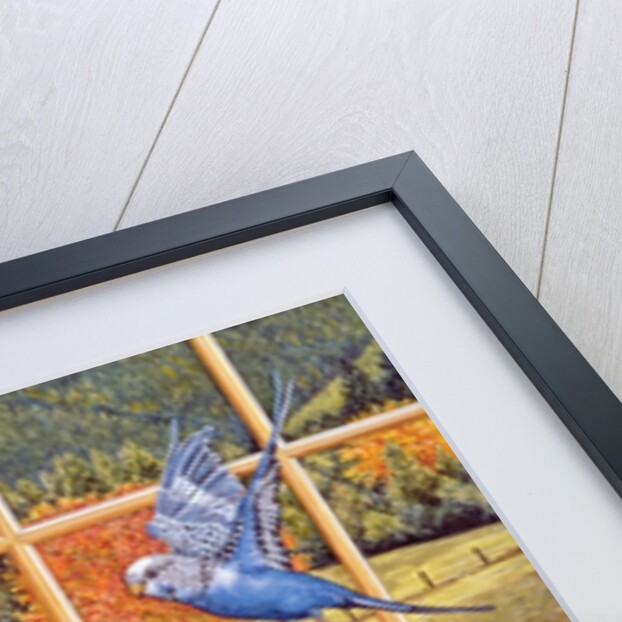 Bird-Watching, 1996 by Ditz Ditz