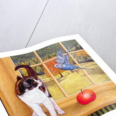 Bird-Watching, 1996 by Ditz Ditz