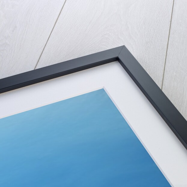 Summer Haze by Derek Hare