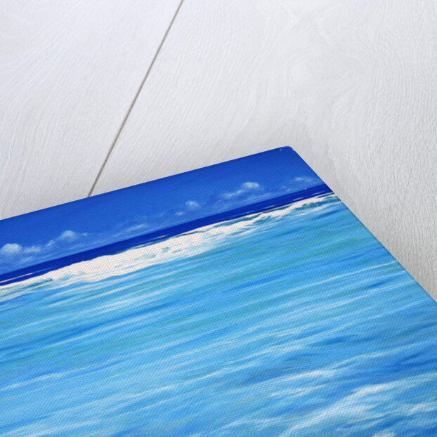 Over the Reef by Derek Hare