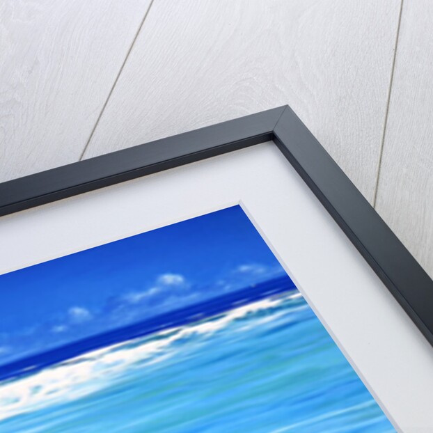 Over the Reef by Derek Hare