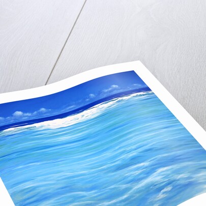 Over the Reef by Derek Hare