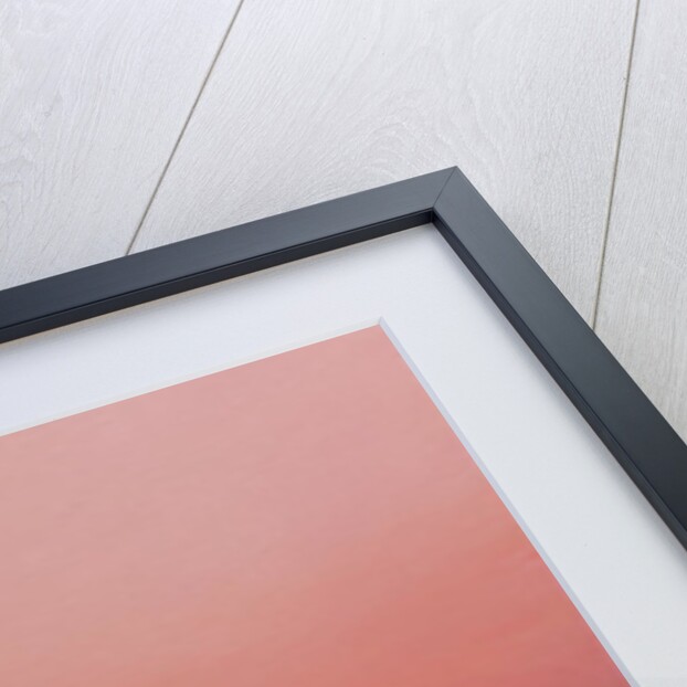 Pink Dawn on The Ganges by Derek Hare