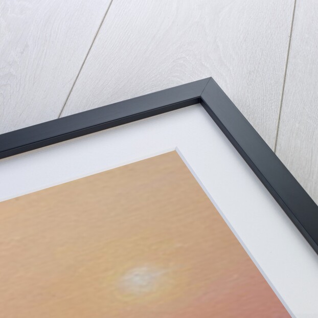 Sundown on the Yamuna by Derek Hare