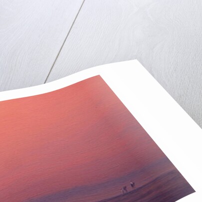 Camel Drivers at Agra by Derek Hare