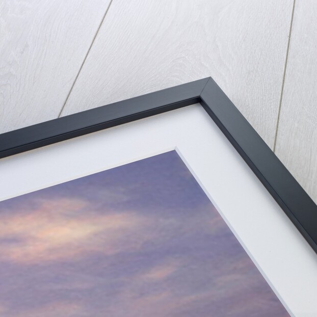 Fishing Boat on Vembanad Lake, Kerala by Derek Hare