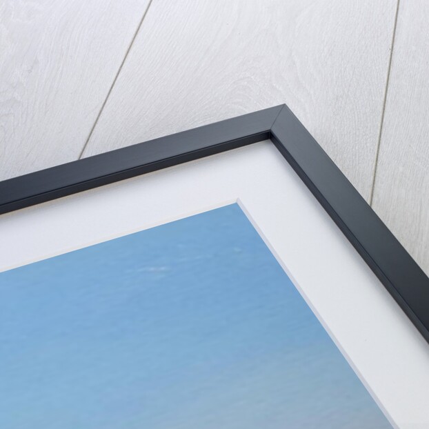 Dawn at Jaipur by Derek Hare