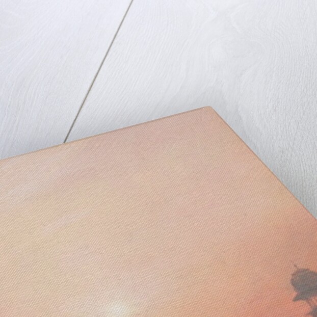 Evening on the Yamuna by Derek Hare