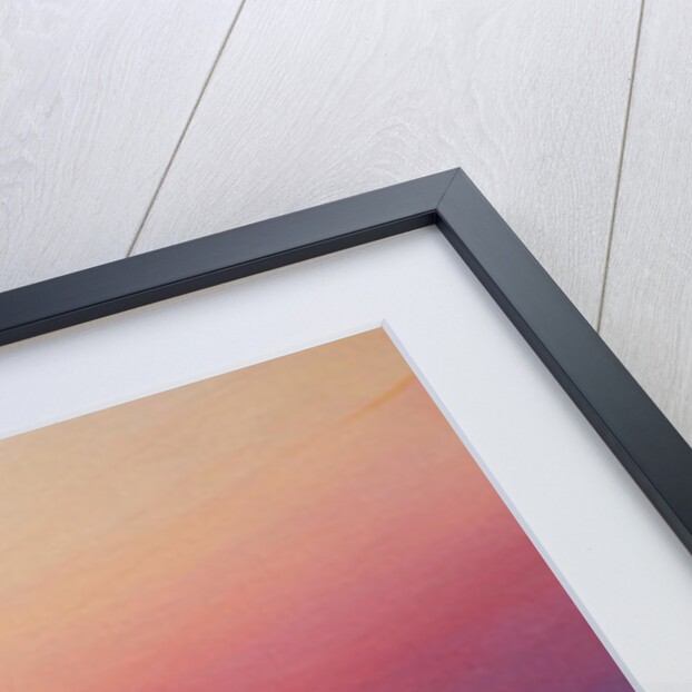 Dusk at Kochi by Derek Hare