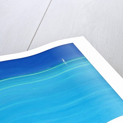 Off Whale Cay, Abaco by Derek Hare