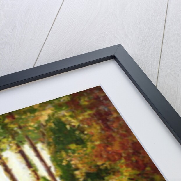 The Garden of Romance by Thomas Edwin Mostyn