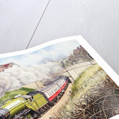 The Green Arrow, 1988 by David Nolan