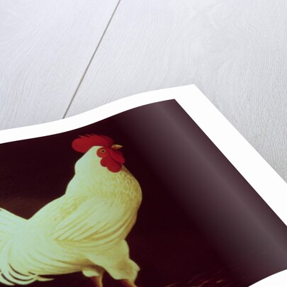 Rooster by Dory Coffee