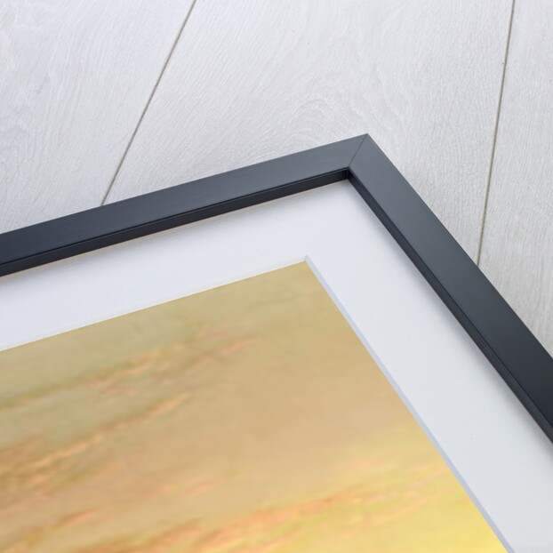 Seascape with Cliff at Sunset, 1889 by J. H. Blunt