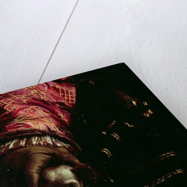 Detail of a dog from a painting of an unknown man by Nicolo dell Abate