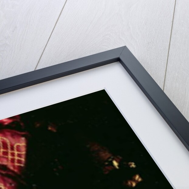 Detail of a dog from a painting of an unknown man by Nicolo dell Abate