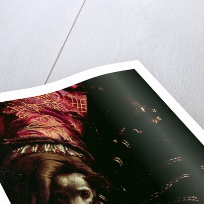 Detail of a dog from a painting of an unknown man by Nicolo dell Abate