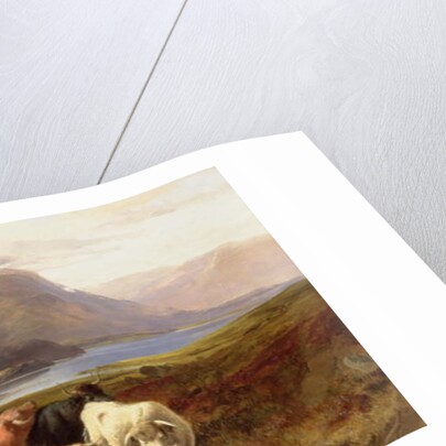 Highland Cattle with a Collie by Joseph & Adam Joseph Denovan (1846-96) Adam