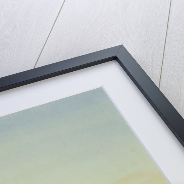 Barn Owl, 1916 by Archibald Thorburn