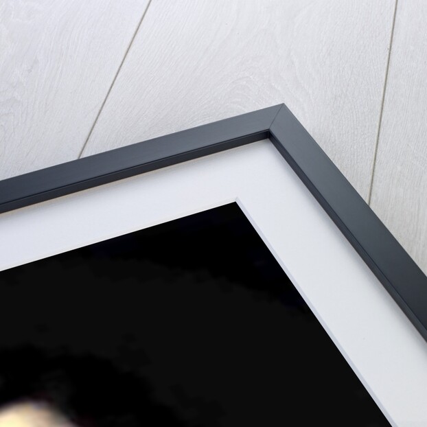 James VIII of Scotland & III of England, c.1704 by Francois de Troy