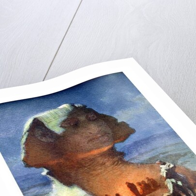 A Night Encampment before the Sphinx by Carl Haag