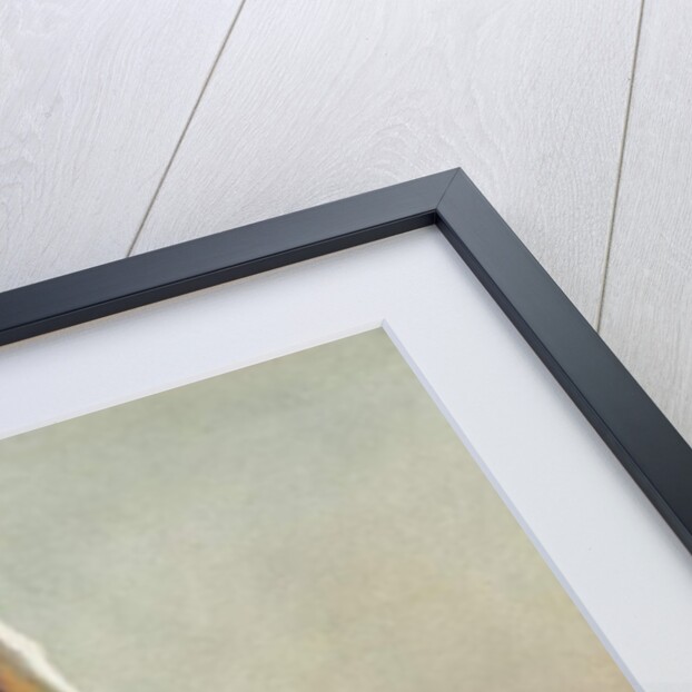 A Young Bedawee from Sinai, 1873 by Carl Haag