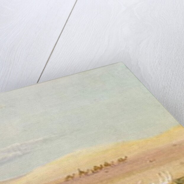 Sand Hills in the Desert, Cairo, Suez, 1859 by Carl Haag